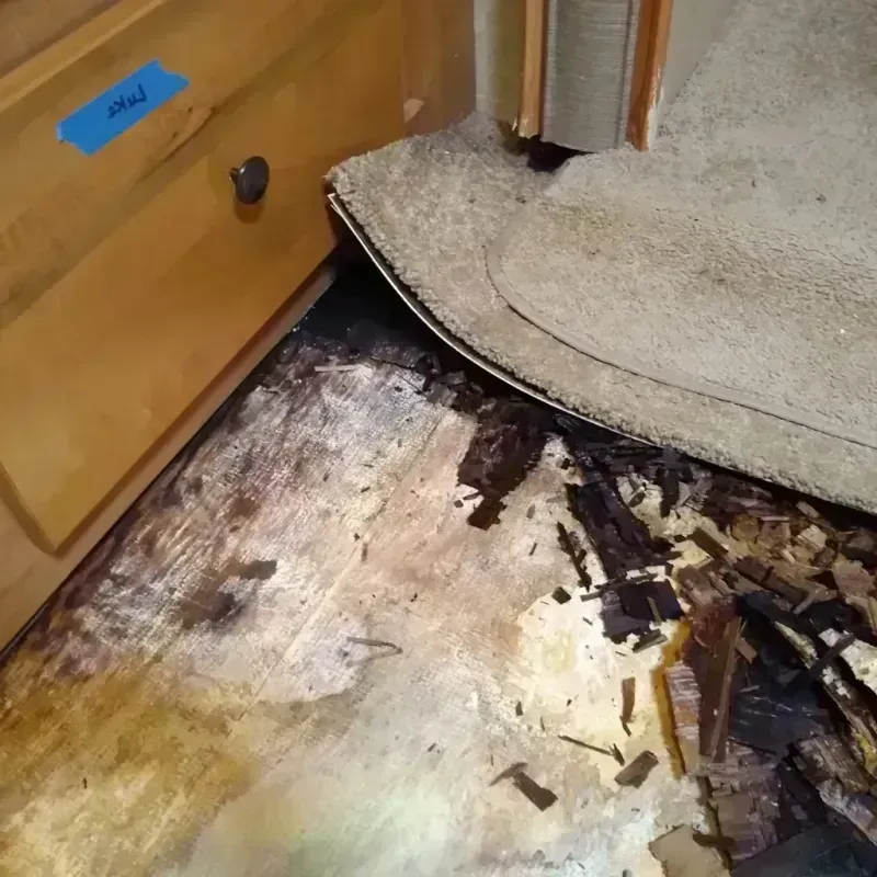 Best Wood Floor Water Damage Service in Litchfield, MI